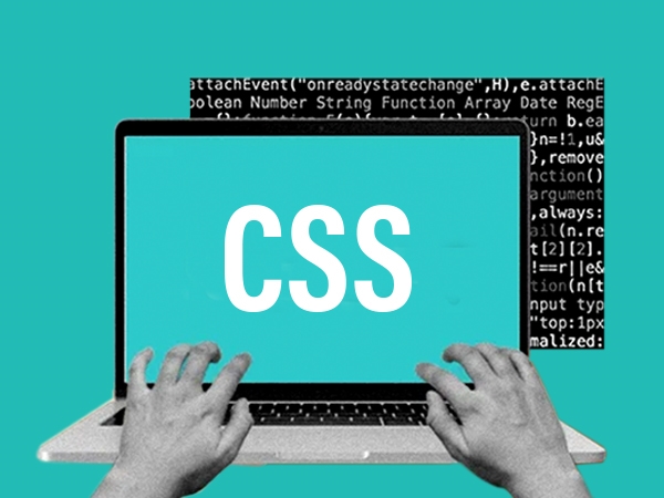 Simplify Your Development Process with Global Scripts and CSS